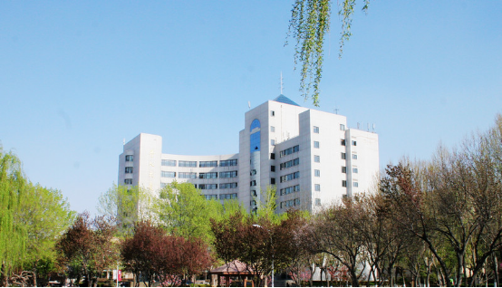 1599038342903052525.png 图片 4.png